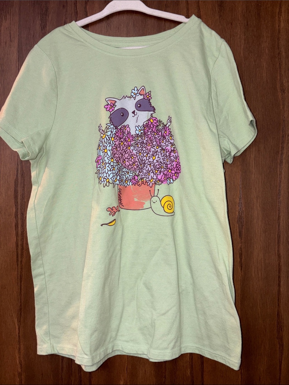 Cat & Jack Light Green Short-Sleeve Tee with Raccoon and Flower Pot Graphic